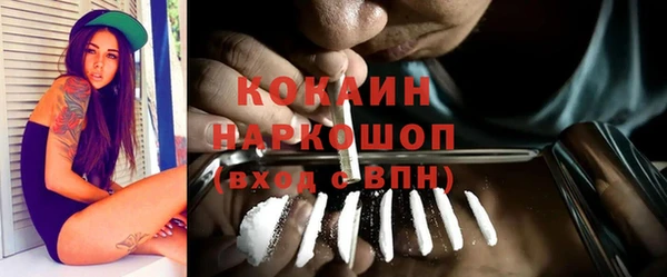 индика Семикаракорск