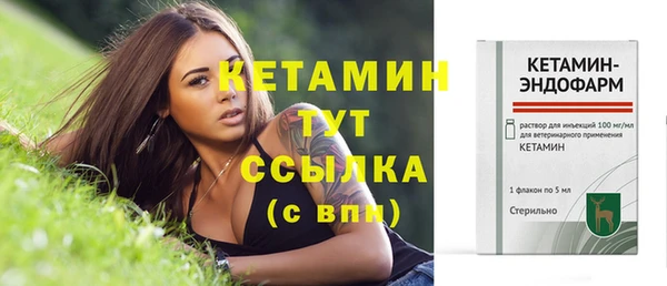 крисы Семилуки