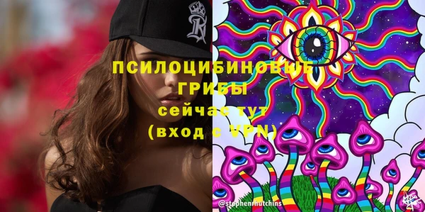 крисы Семилуки