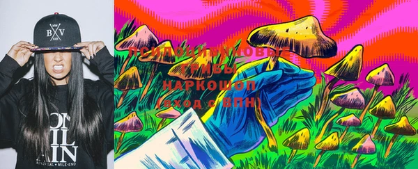 индика Семикаракорск