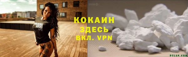 индика Семикаракорск
