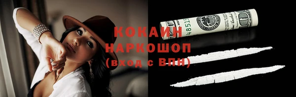 индика Семикаракорск