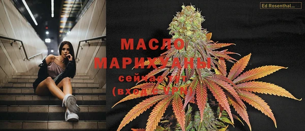 индика Семикаракорск