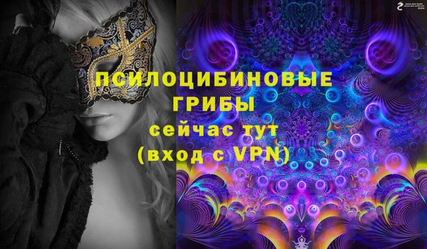 крисы Семилуки