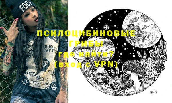 индика Семикаракорск