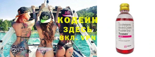 индика Семикаракорск