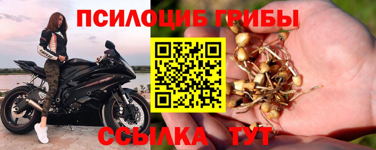 Галлюциногенные грибы ЛСД Железноводск