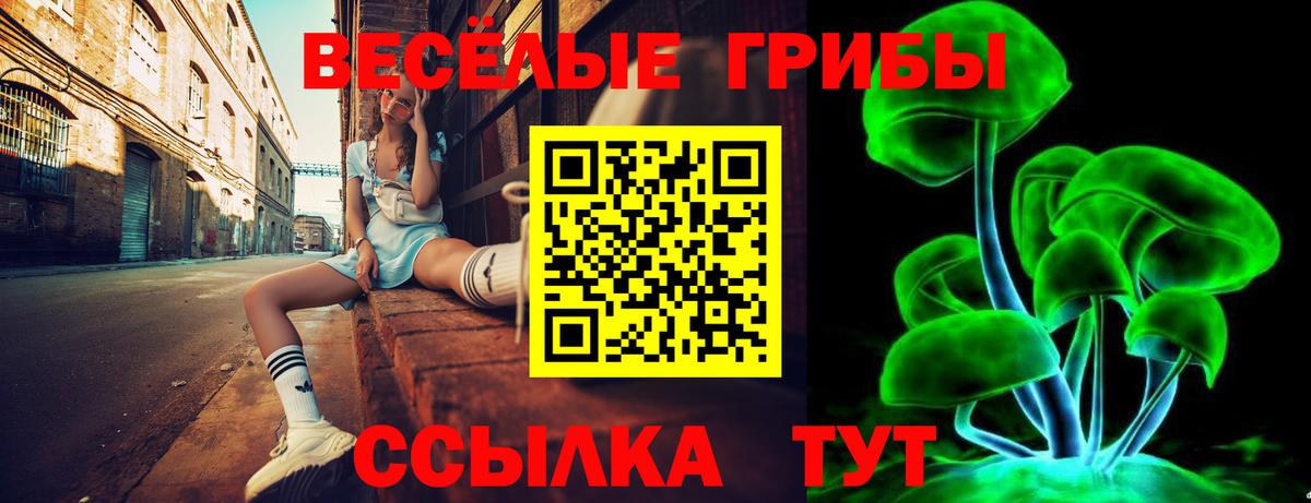 как найти закладки  Железноводск  Псилоцибиновые грибы MAGIC MUSHROOMS 