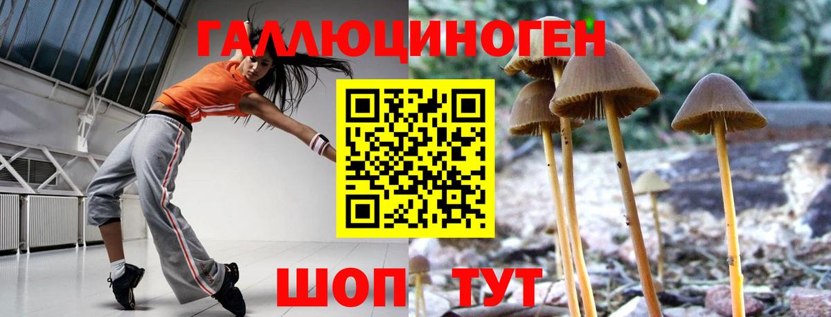 Галлюциногенные грибы мицелий Железноводск
